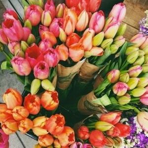 Meet your Posher, Aubrey